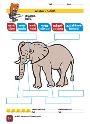 PreSchool - Science 4+ (Book 1, 2 ) - Image 8