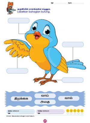 PreSchool - Science 5+ (Book 1, 2 ) - Image 7