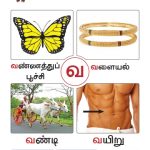 Tamil 5+ Book 1-33