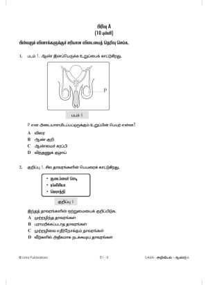 Kertas Model UASA Sains Year 6 SJKT - Image 3