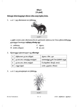 Kertas Model UASA Sains Year 5 SJKT - Image 3