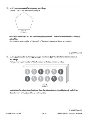 Kertas Model DLP UASA Mathematics Year 5 SJKT - Image 6