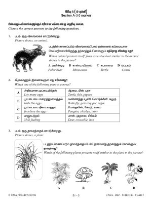 Kertas Model DLP UASA Science Year 5 SJKT - Image 4