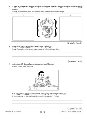 Kertas Model DLP UASA Science Year 5 SJKT - Image 6