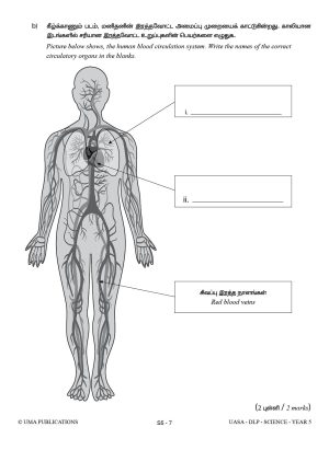 Kertas Model DLP UASA Science Year 5 SJKT - Image 7