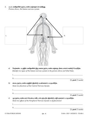 Kertas Model DLP UASA Science Year 6 SJKT - Image 6